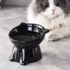 Tazón de Cerámica para Mascotas